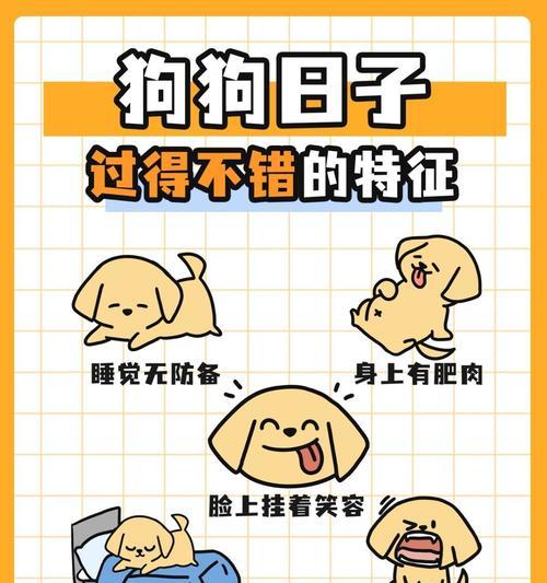 文章详情图片