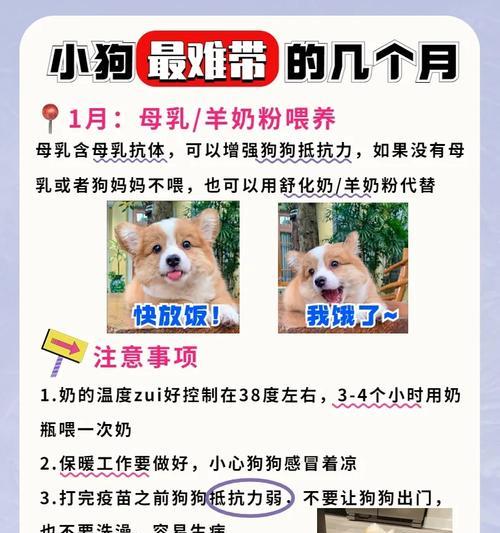 文章详情图片