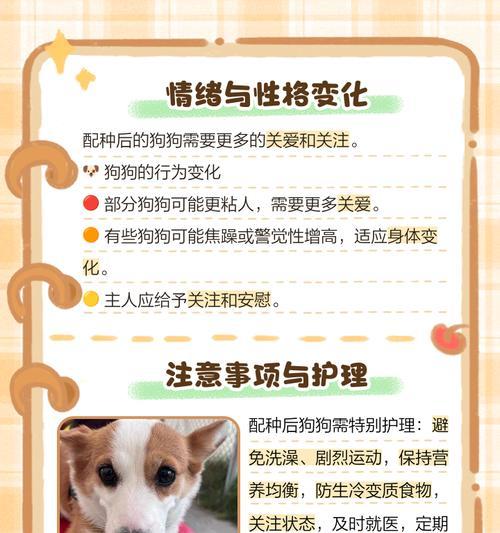 文章详情图片