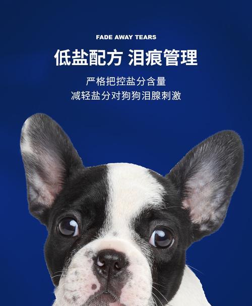 文章详情图片