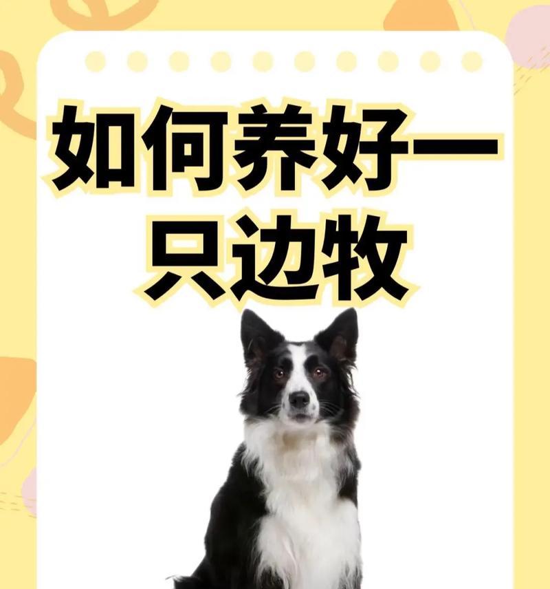 文章详情图片