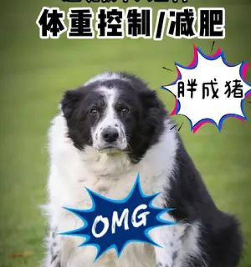 文章详情图片