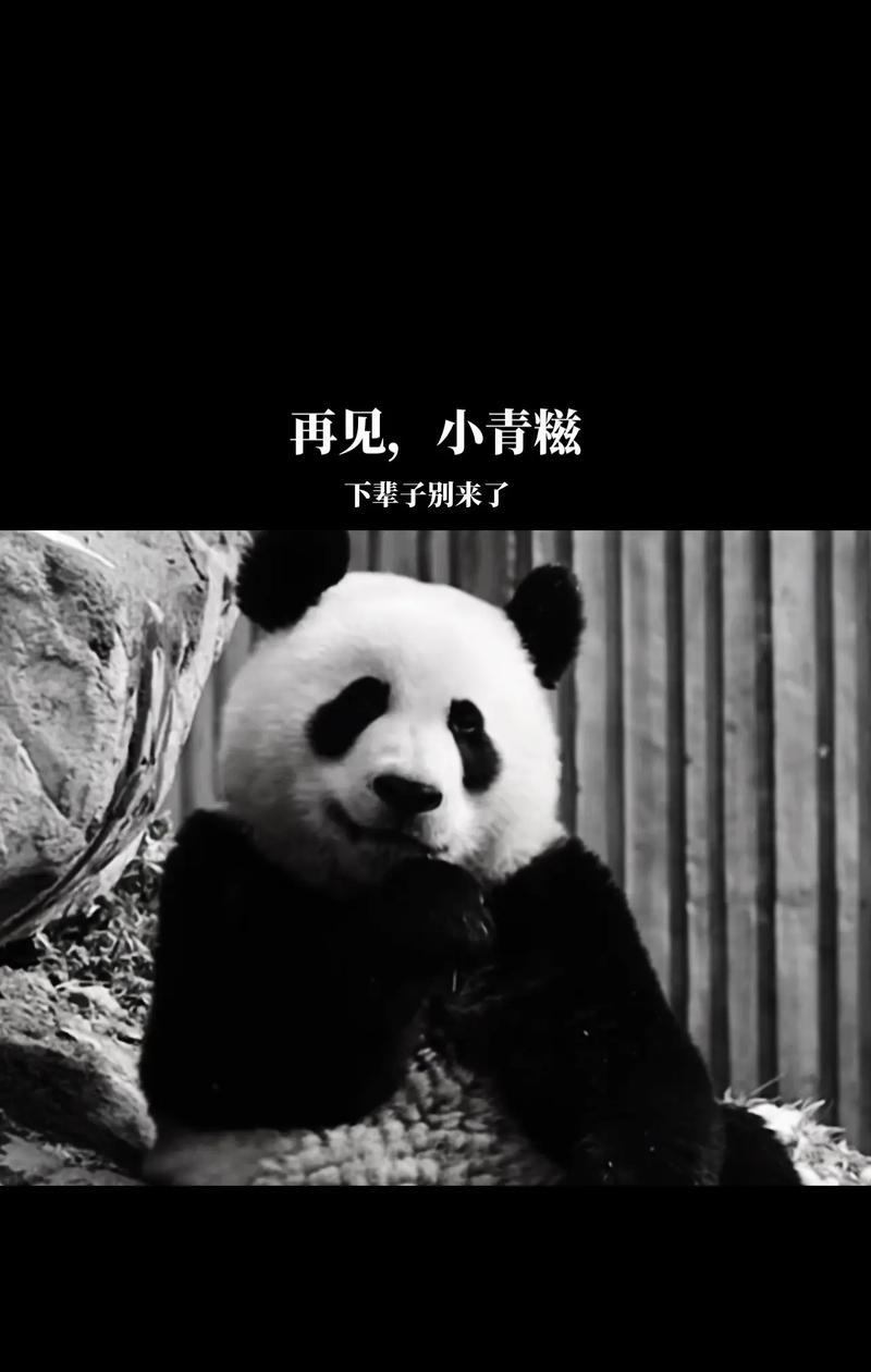文章详情图片