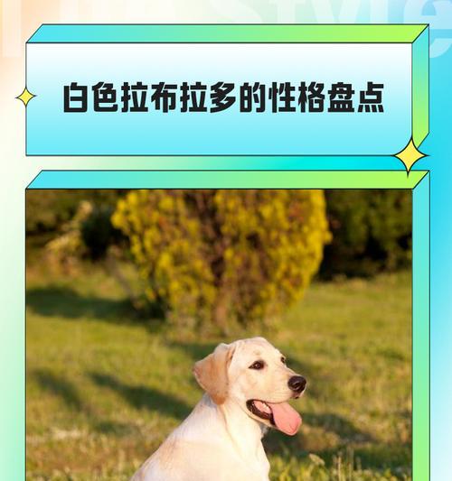 文章详情图片