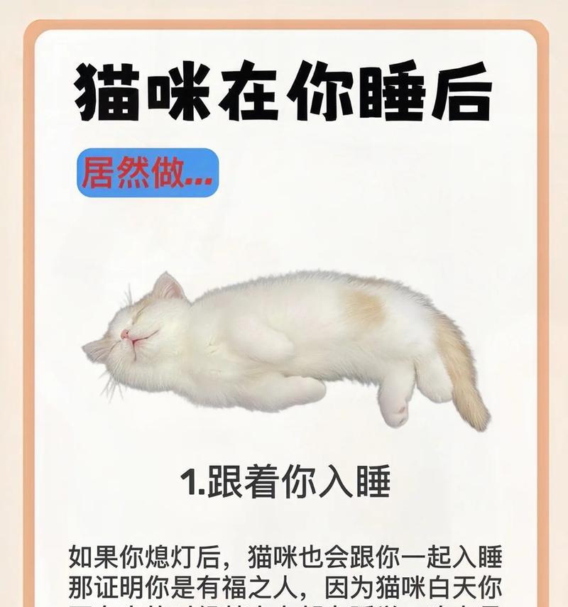 文章详情图片