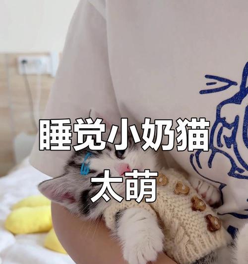 文章详情图片