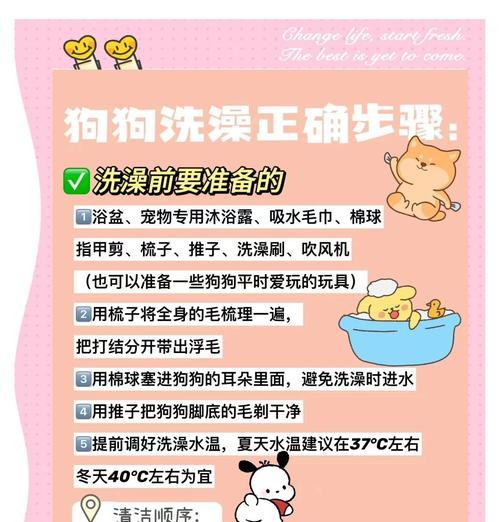 狗狗怀孕洗澡注意事项与正确护理方法