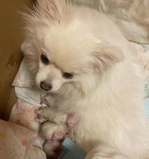 文章详情图片