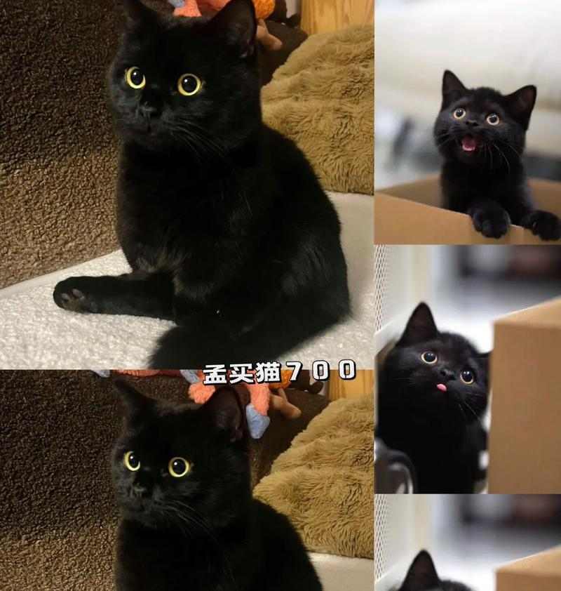 文章详情图片