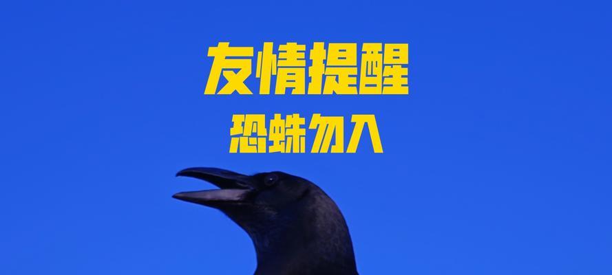 文章详情图片