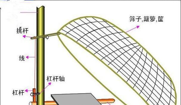 文章详情图片