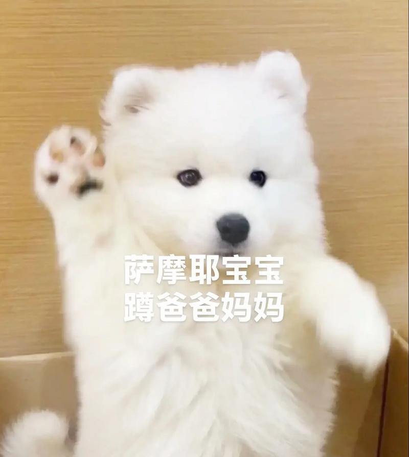 文章详情图片
