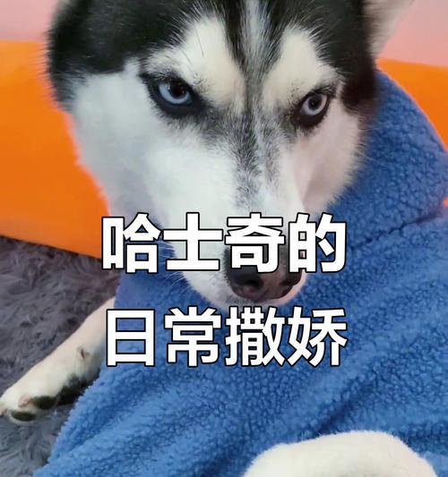 文章详情图片