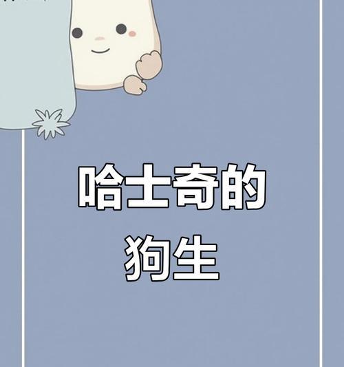 文章详情图片