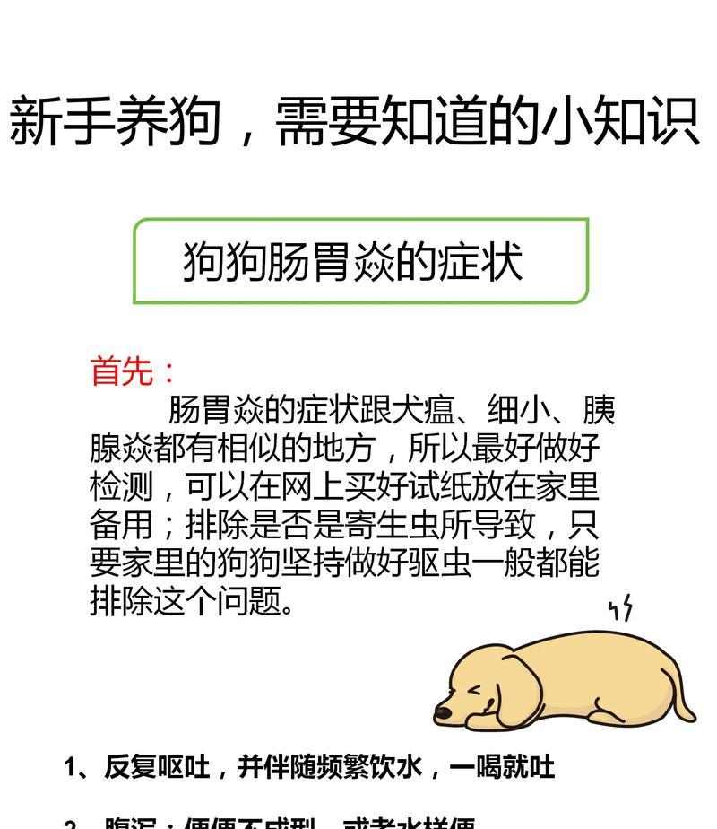狗狗驱虫注意事项大全：三步避开不良反应