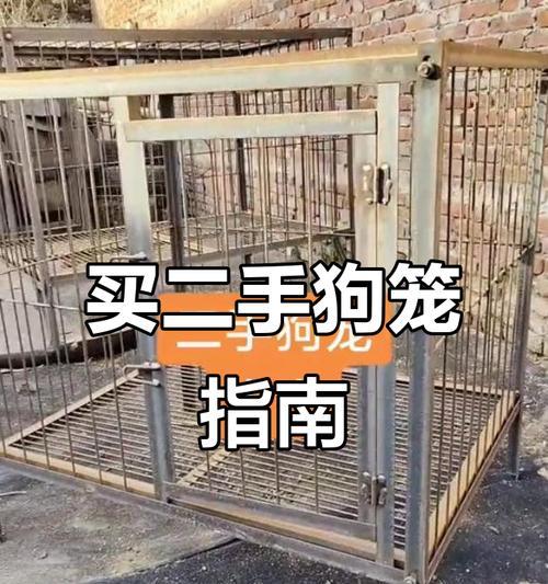 狗笼子定期清洁护理要点