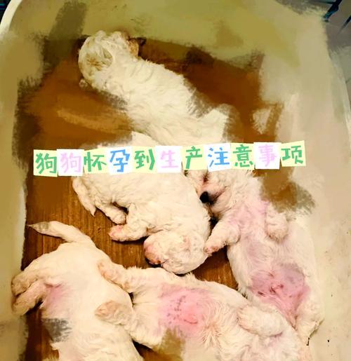 文章详情图片