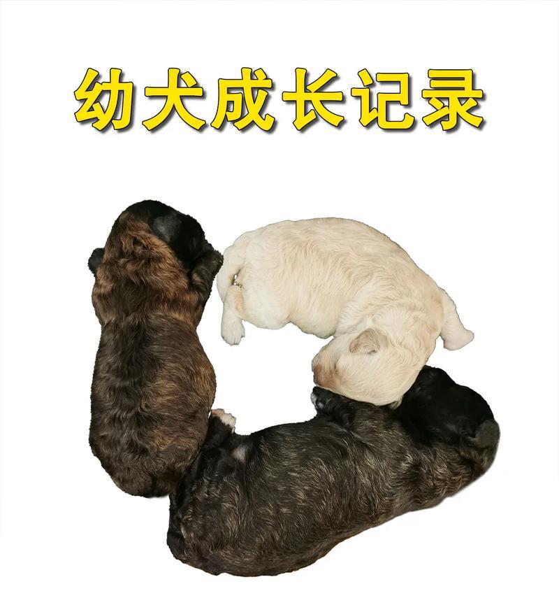 文章详情图片