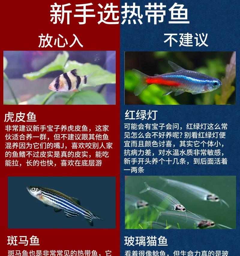 文章详情图片
