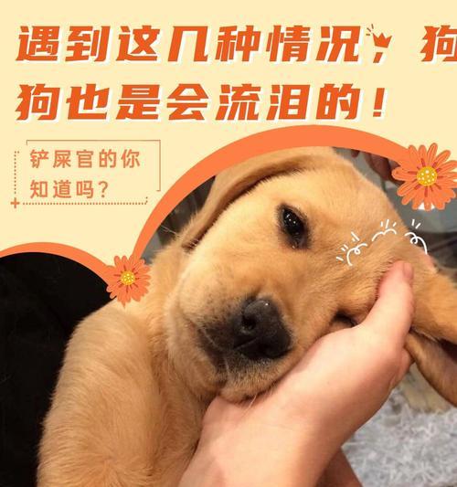 文章详情图片
