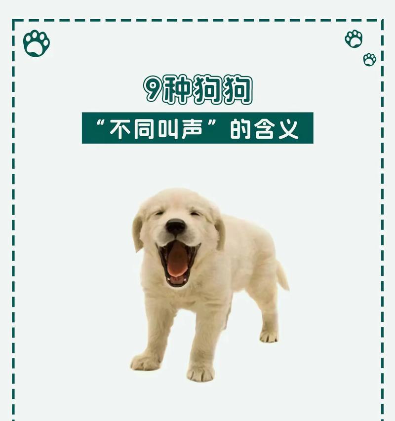 文章详情图片