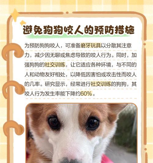 文章详情图片