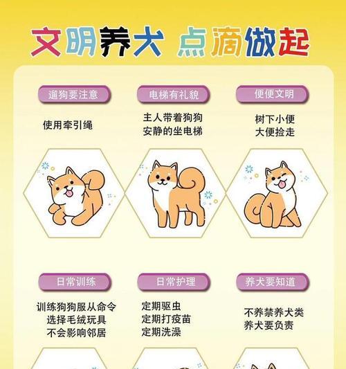 文章详情图片