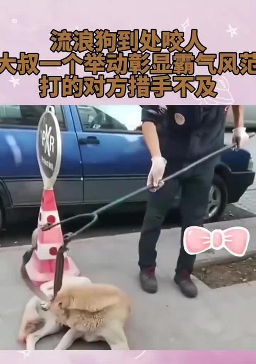 文章详情图片