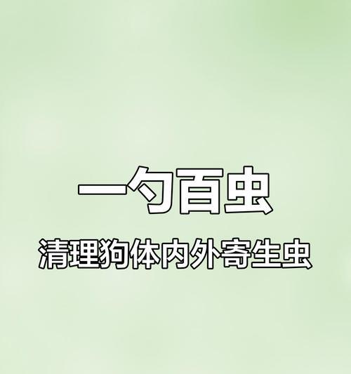 清除狗狗寄生虫的有效防治方法