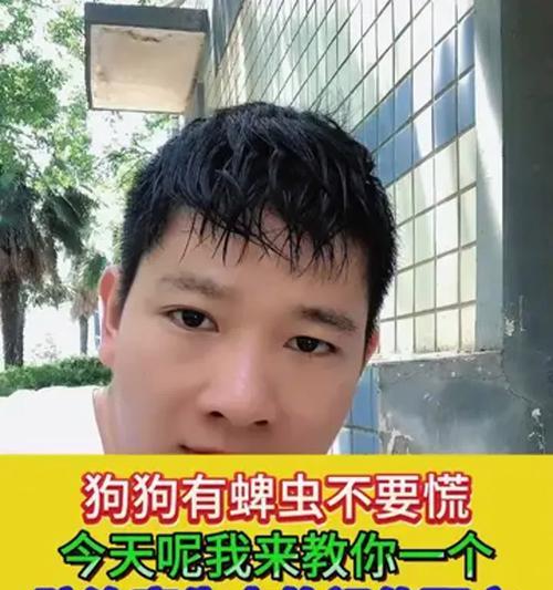文章详情图片