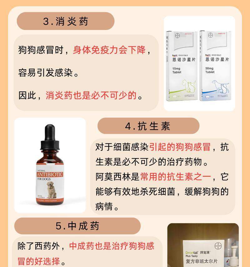 文章详情图片