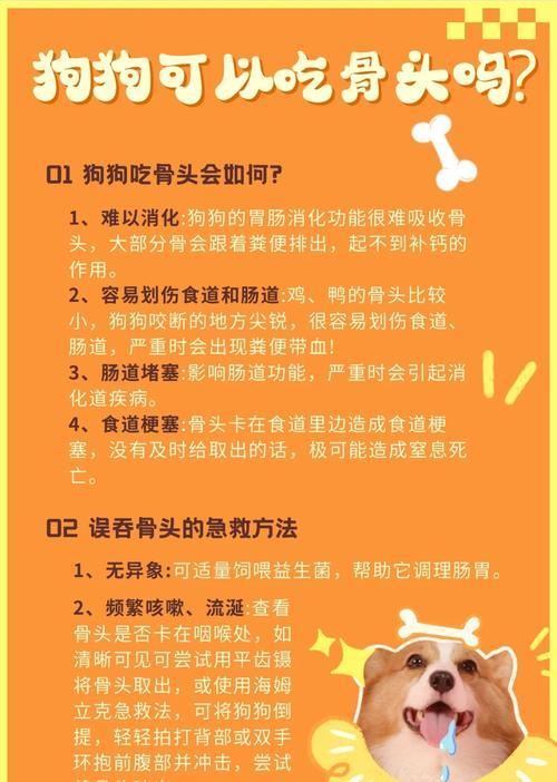 狗狗骨头煮多久才安全？正确处理方法全解析