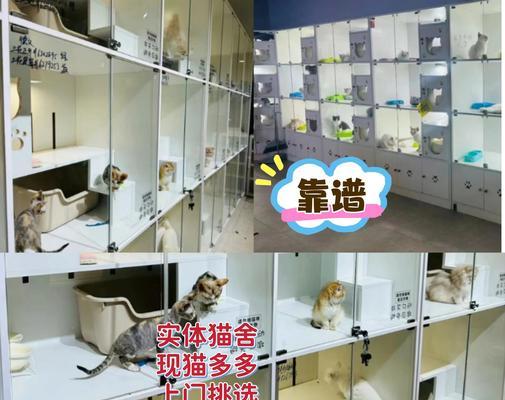 文章详情图片