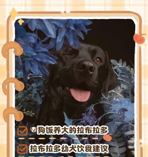 文章详情图片