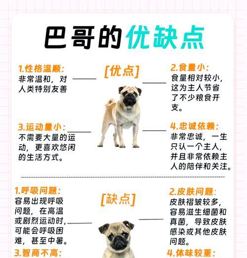 文章详情图片