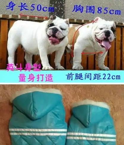 文章详情图片