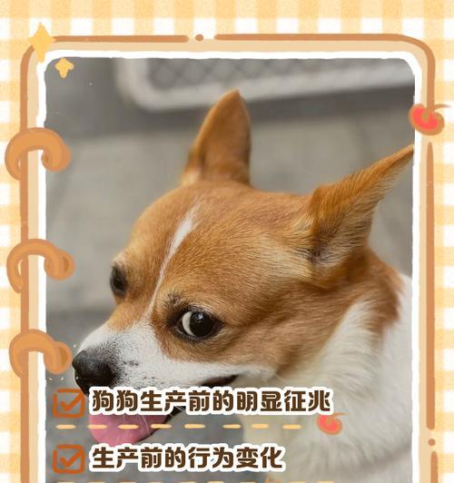 文章详情图片