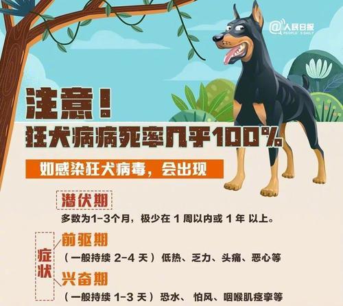 文章详情图片