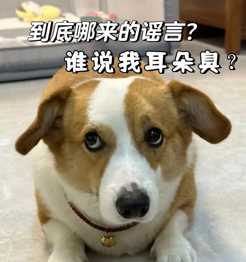 文章详情图片