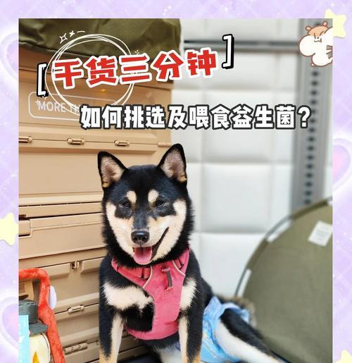 文章详情图片