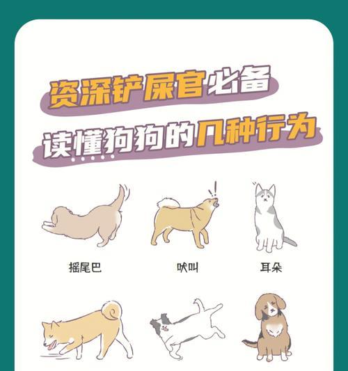 读懂狗狗语言的艺术：解读身体与声音信号