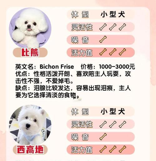 文章详情图片