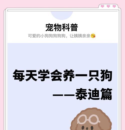 泰迪狗狗健康养护：必备药品推荐与使用
