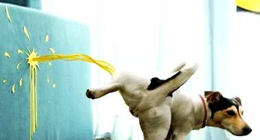 文章详情图片