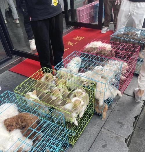 文章详情图片