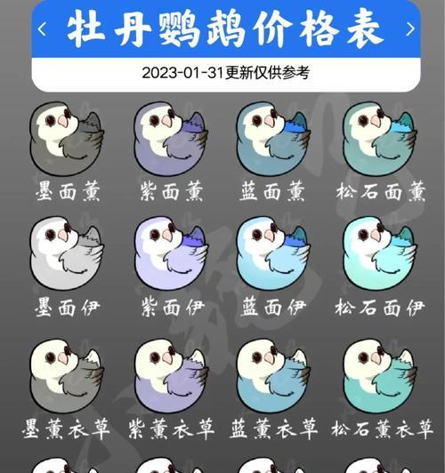 文章详情图片