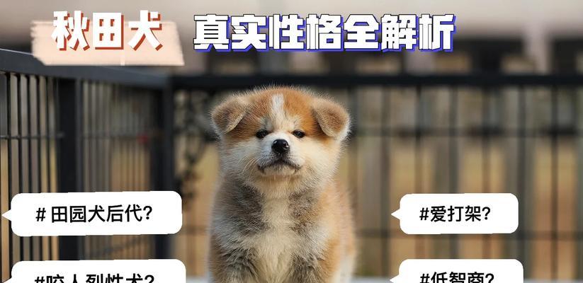 文章详情图片