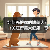 如何养护你的博美犬？（关注博美犬健康，享受宠物生活。）（图4）