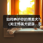 如何养护你的博美犬？（关注博美犬健康，享受宠物生活。）（图2）
