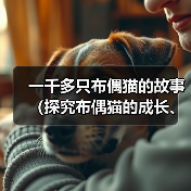 一千多只布偶猫的故事（探究布偶猫的成长、特点与魅力）（图3）